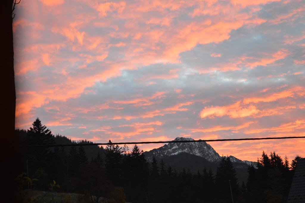 Msc Apartments Honeymoon Zakopane Esterno foto