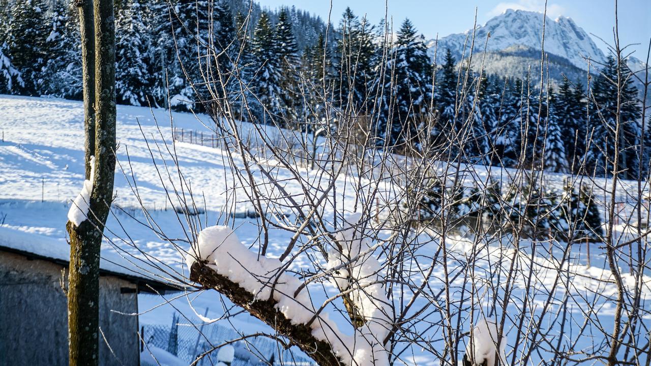 Msc Apartments Honeymoon Zakopane Esterno foto