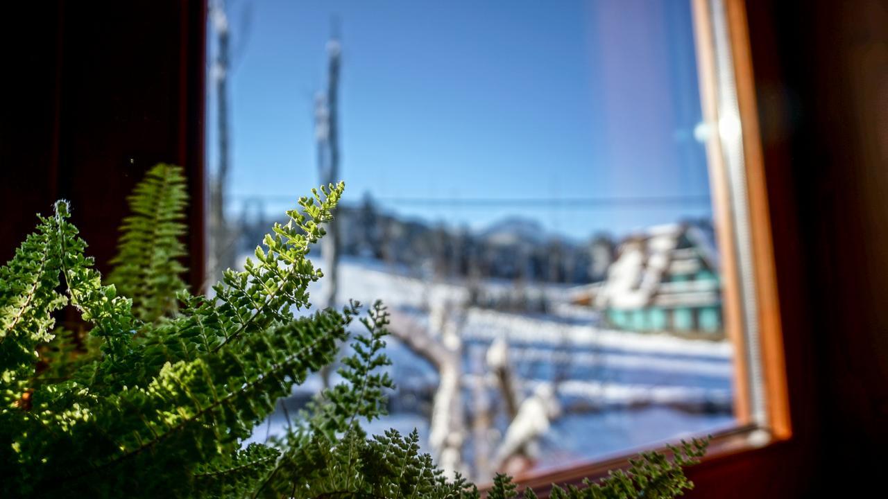 Msc Apartments Honeymoon Zakopane Esterno foto