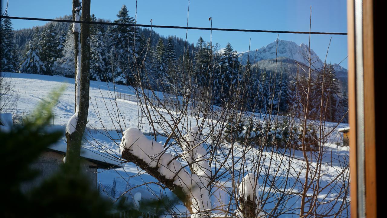 Msc Apartments Honeymoon Zakopane Esterno foto