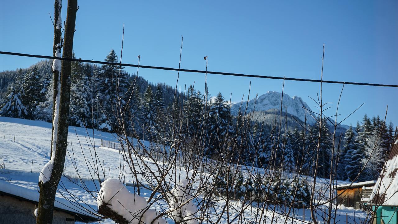 Msc Apartments Honeymoon Zakopane Esterno foto
