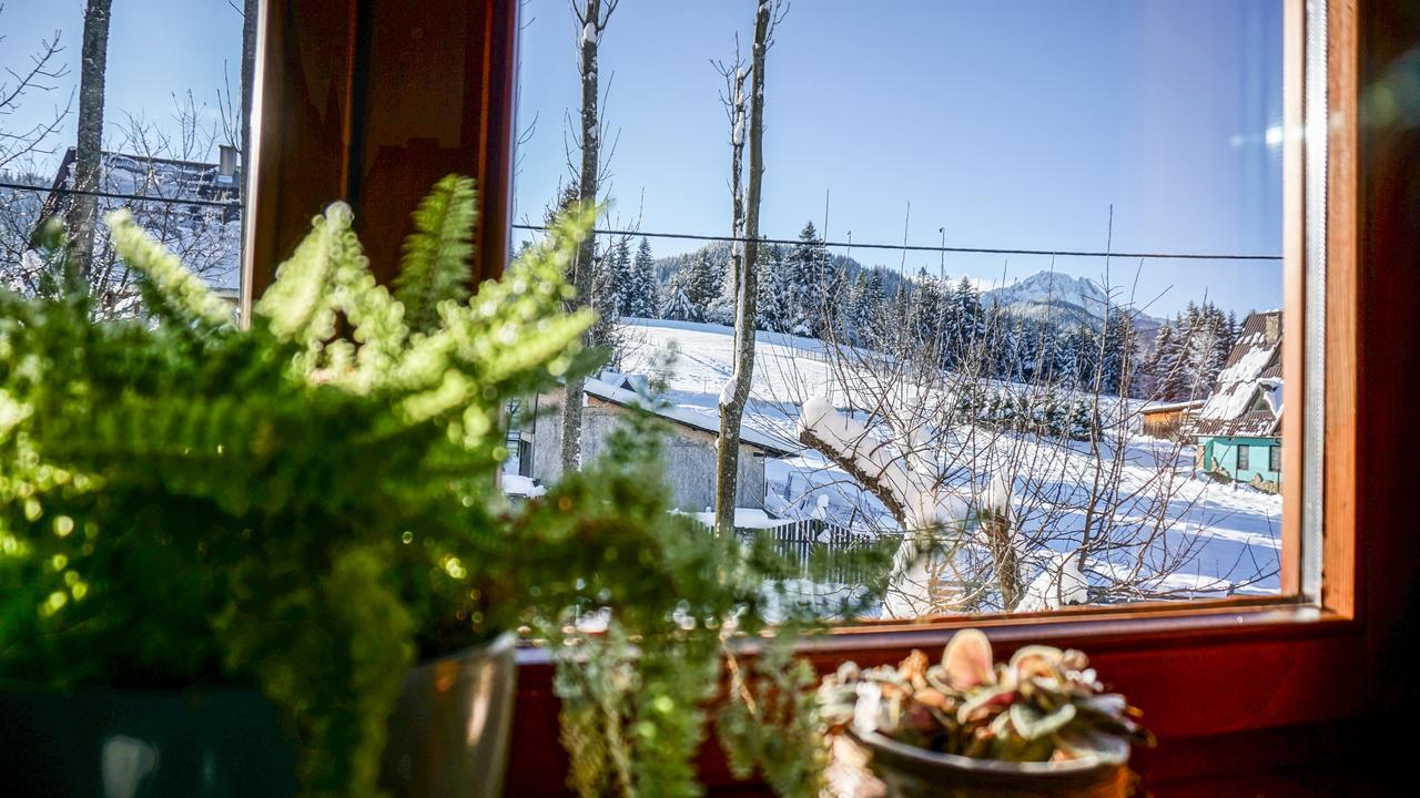 Msc Apartments Honeymoon Zakopane Esterno foto