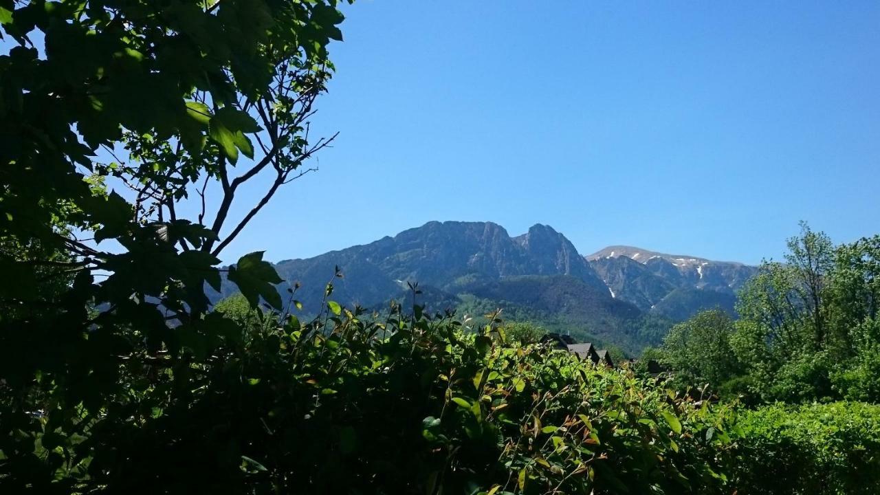 Msc Apartments Honeymoon Zakopane Esterno foto